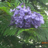 Avatar favorite