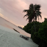 Avatar Marielyner