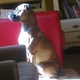 Avatar zorguette56