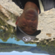 Avatar Phil