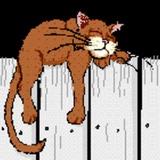 Avatar moumoune67