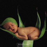 Avatar Ludmila