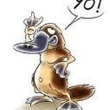 Avatar ornithorynque