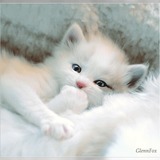 Avatar mylie06