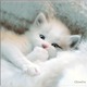 Avatar mylie06