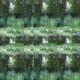 Avatar Paul