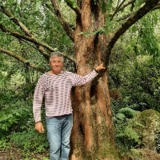 Avatar xakipi