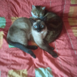 Avatar Mona