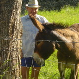 Avatar montagnard42