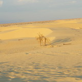 Avatar sissi82