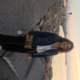 Avatar Berenice