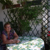 Avatar adieuxvenise