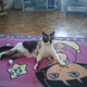 Avatar mimi1827