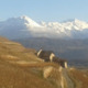 Avatar stella450