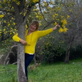 Avatar Nelly