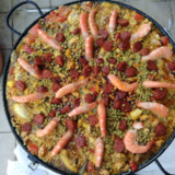 Avatar fox897