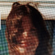Avatar Josiane