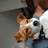 lionel2