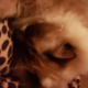 Avatar Cathy 77