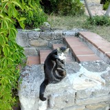 Fabienne2