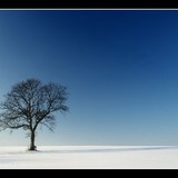 Avatar galaelle