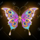 Avatar chippie59