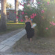 Avatar Isa