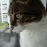 Avatar Mathilde