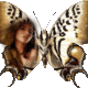 Avatar ame2152