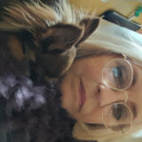Avatar varroise