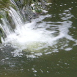 Avatar sylguima