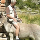 Avatar lavercq