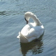 Avatar gagarine