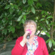 Avatar senlis60