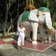 Avatar mls0812